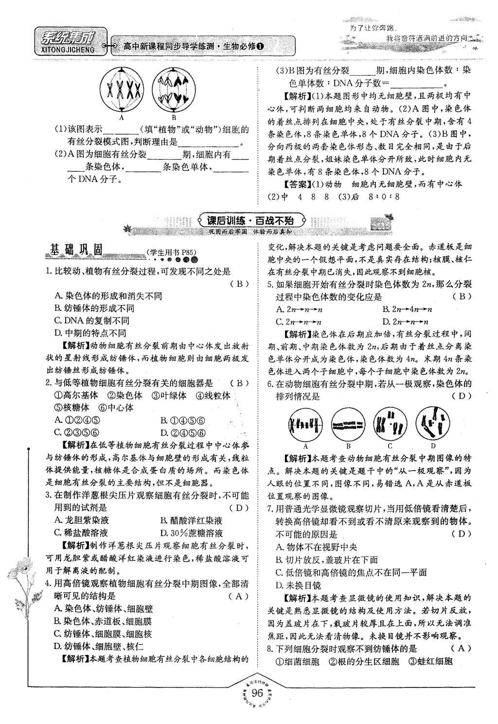 2015年系統(tǒng)集成高中新課程同步導(dǎo)學(xué)練測生物必修1分子與細(xì)胞 主題四 細(xì)胞的增殖、分化、衰老和凋亡第28頁