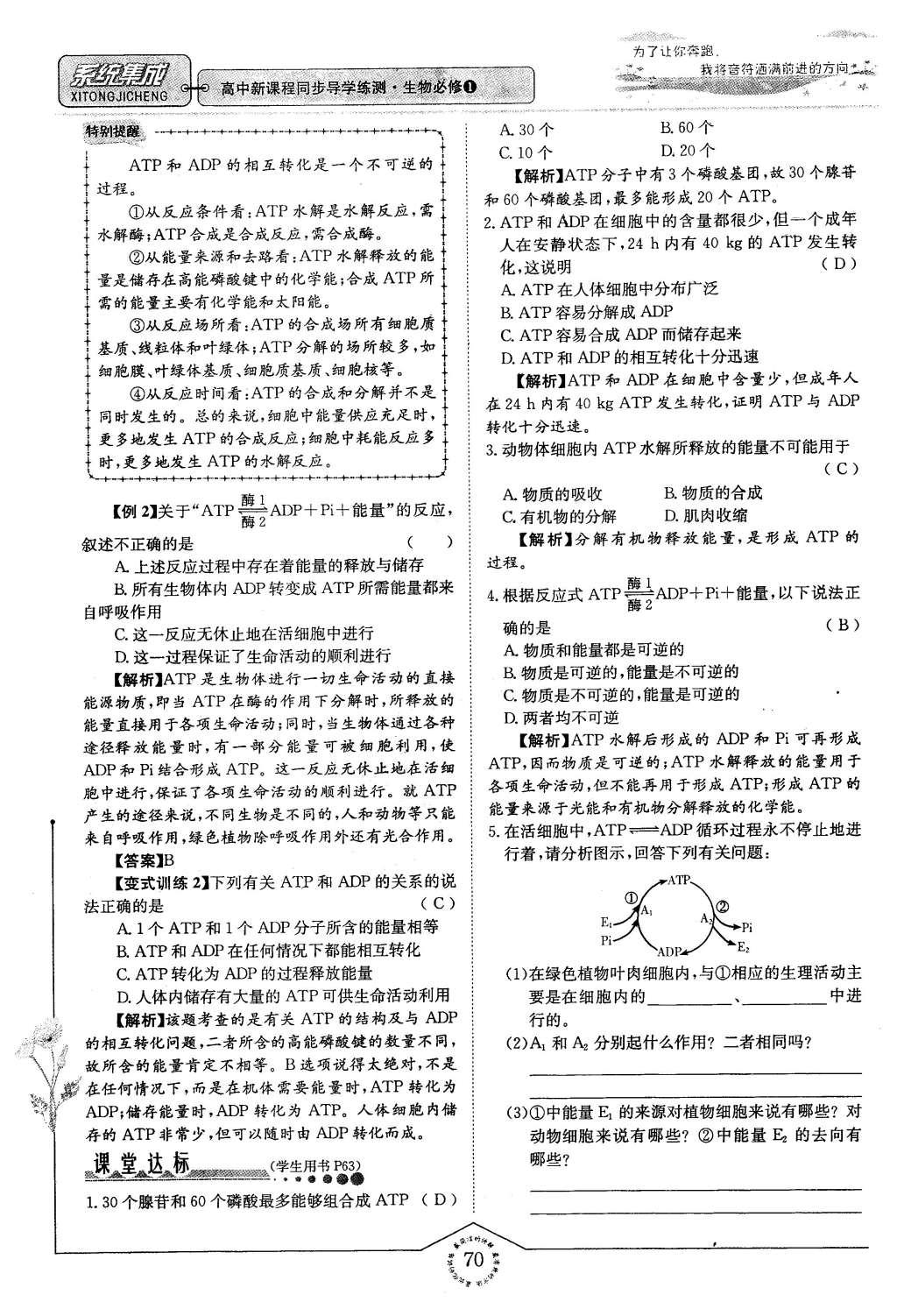 2015年系統(tǒng)集成高中新課程同步導(dǎo)學(xué)練測生物必修1分子與細胞 主題三 細胞的新陳代謝第63頁