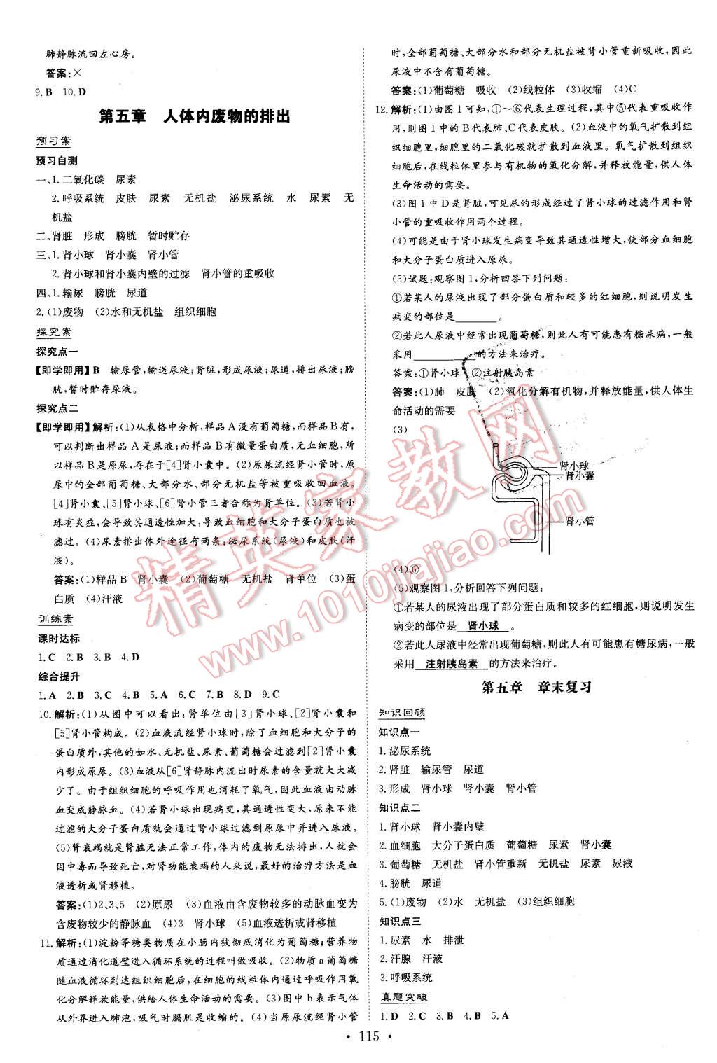 2016年初中同步學(xué)習(xí)導(dǎo)與練導(dǎo)學(xué)探究案七年級(jí)生物下冊(cè)人教版 第7頁(yè)