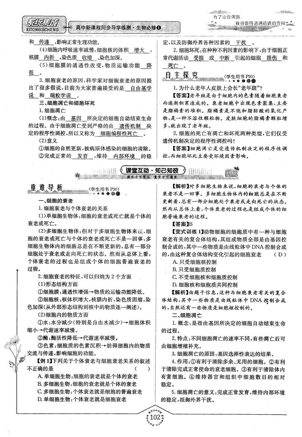 2015年系統(tǒng)集成高中新課程同步導(dǎo)學(xué)練測(cè)生物必修1分子與細(xì)胞 主題四 細(xì)胞的增殖、分化、衰老和凋亡第34頁(yè)