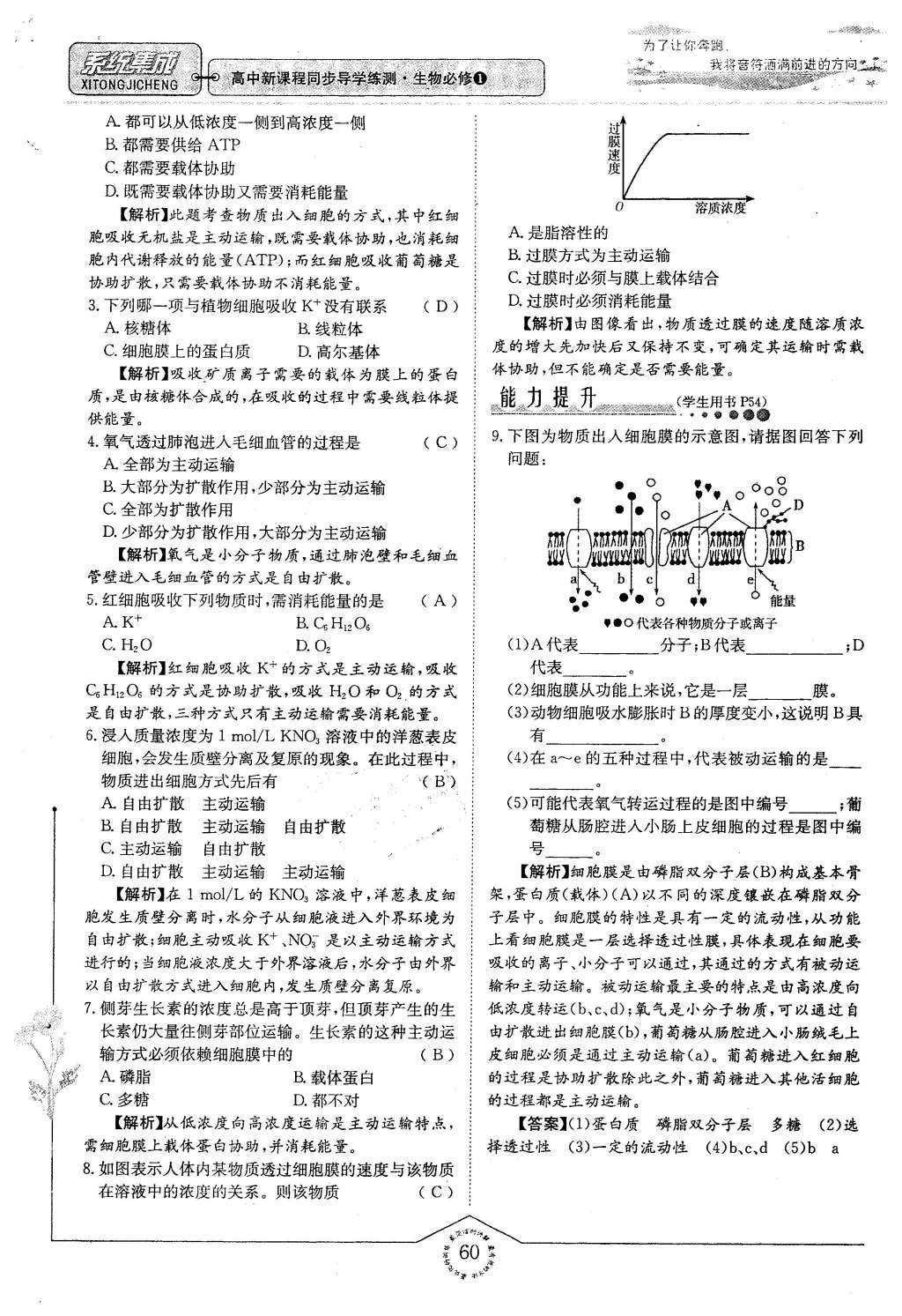 2015年系統(tǒng)集成高中新課程同步導(dǎo)學(xué)練測(cè)生物必修1分子與細(xì)胞 主題三 細(xì)胞的新陳代謝第53頁(yè)