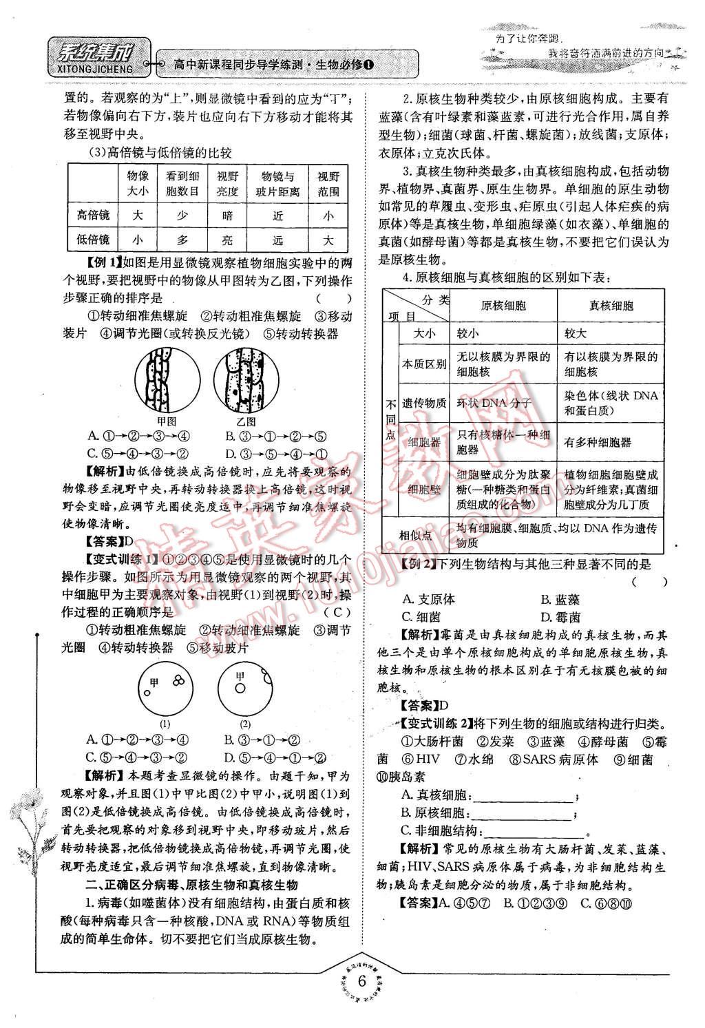 2015年系統(tǒng)集成高中新課程同步導(dǎo)學(xué)練測(cè)生物必修1分子與細(xì)胞 第6頁(yè)