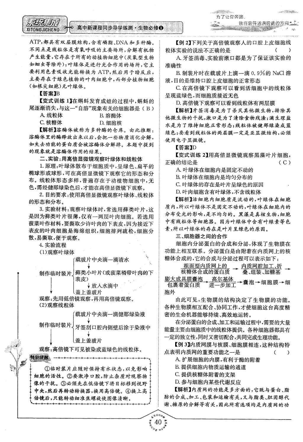 2015年系統(tǒng)集成高中新課程同步導學練測生物必修1分子與細胞 主題二 細胞的分子組成也結構第112頁