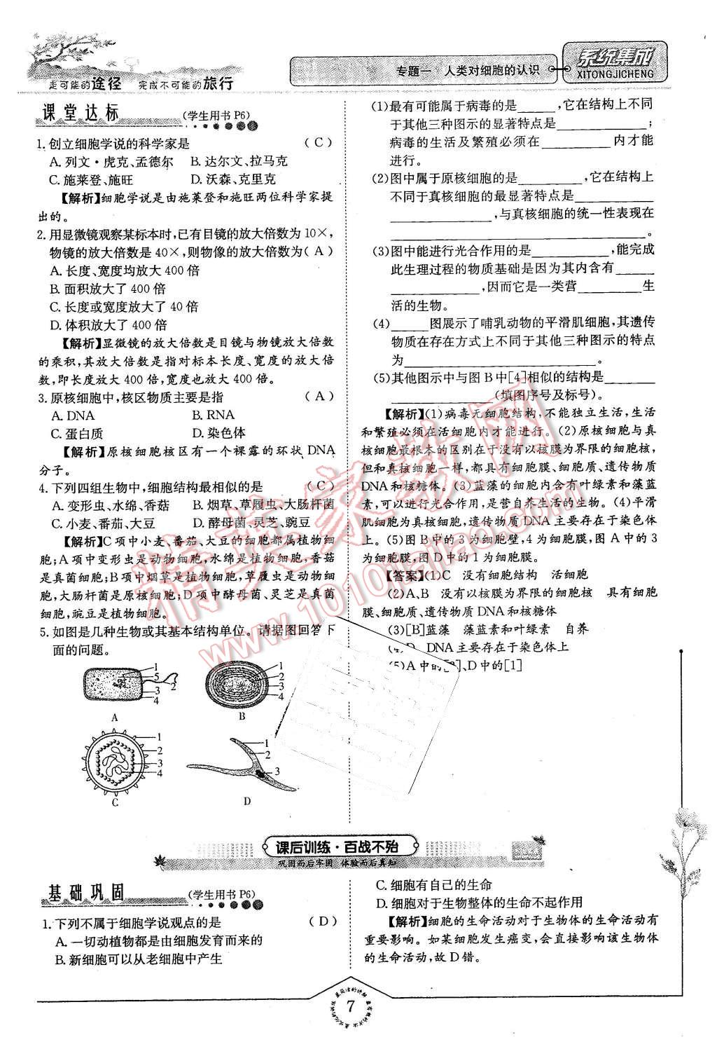 2015年系統(tǒng)集成高中新課程同步導(dǎo)學(xué)練測(cè)生物必修1分子與細(xì)胞 第7頁