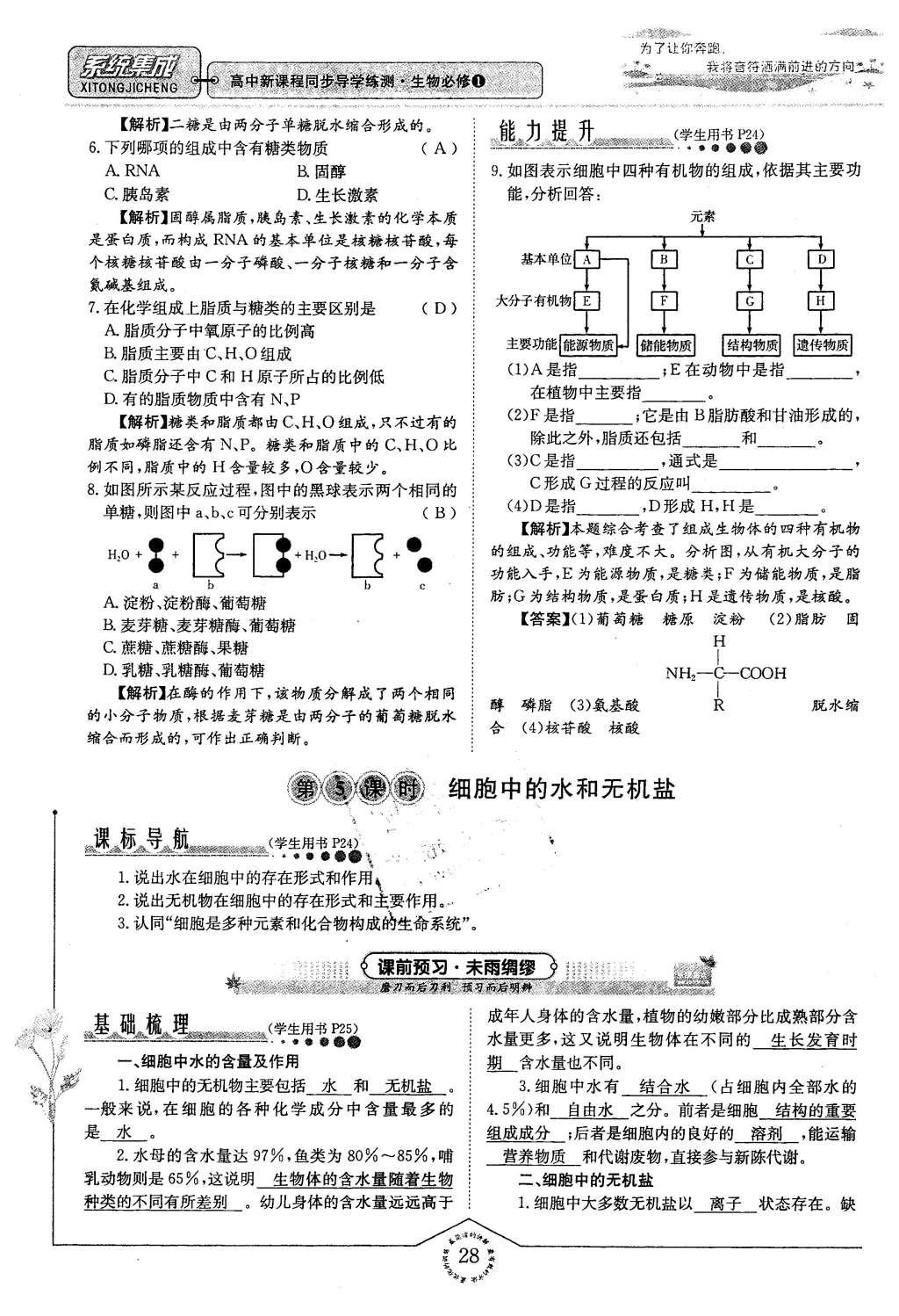 2015年系統(tǒng)集成高中新課程同步導(dǎo)學(xué)練測生物必修1分子與細(xì)胞 主題二 細(xì)胞的分子組成也結(jié)構(gòu)第100頁