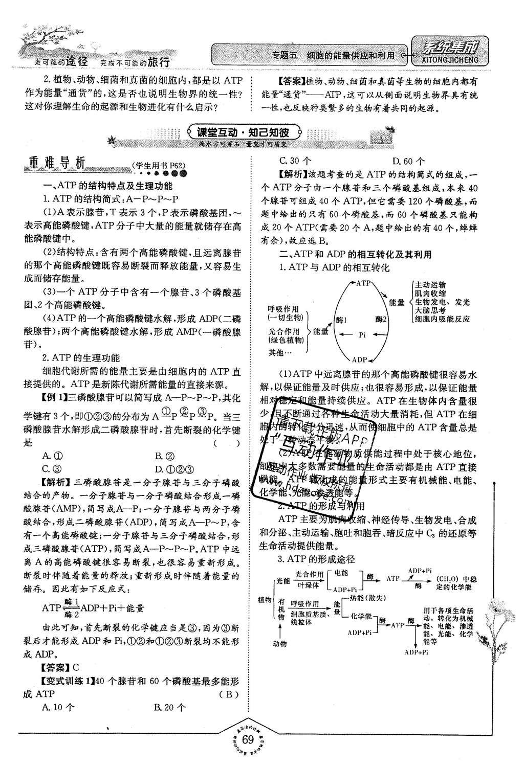 2015年系統(tǒng)集成高中新課程同步導(dǎo)學(xué)練測生物必修1分子與細胞 主題三 細胞的新陳代謝第62頁