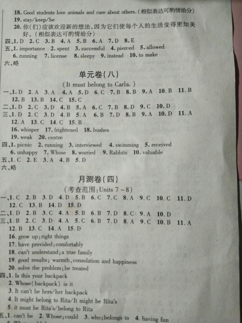 2015年輕松28套陽光奪冠九年級英語上冊人教版 第11頁