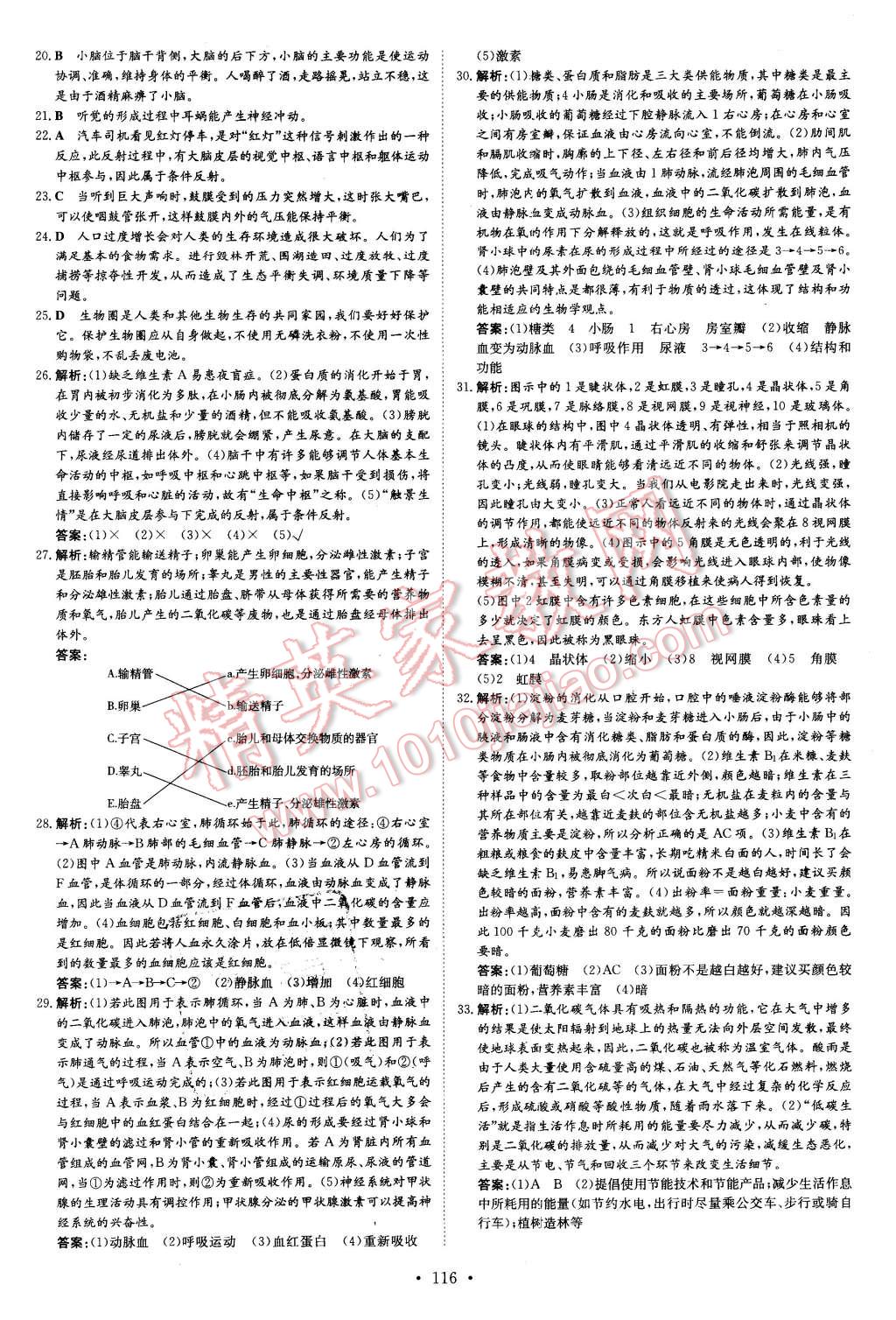 2016年初中同步學習導與練導學探究案七年級生物下冊蘇教版 第24頁