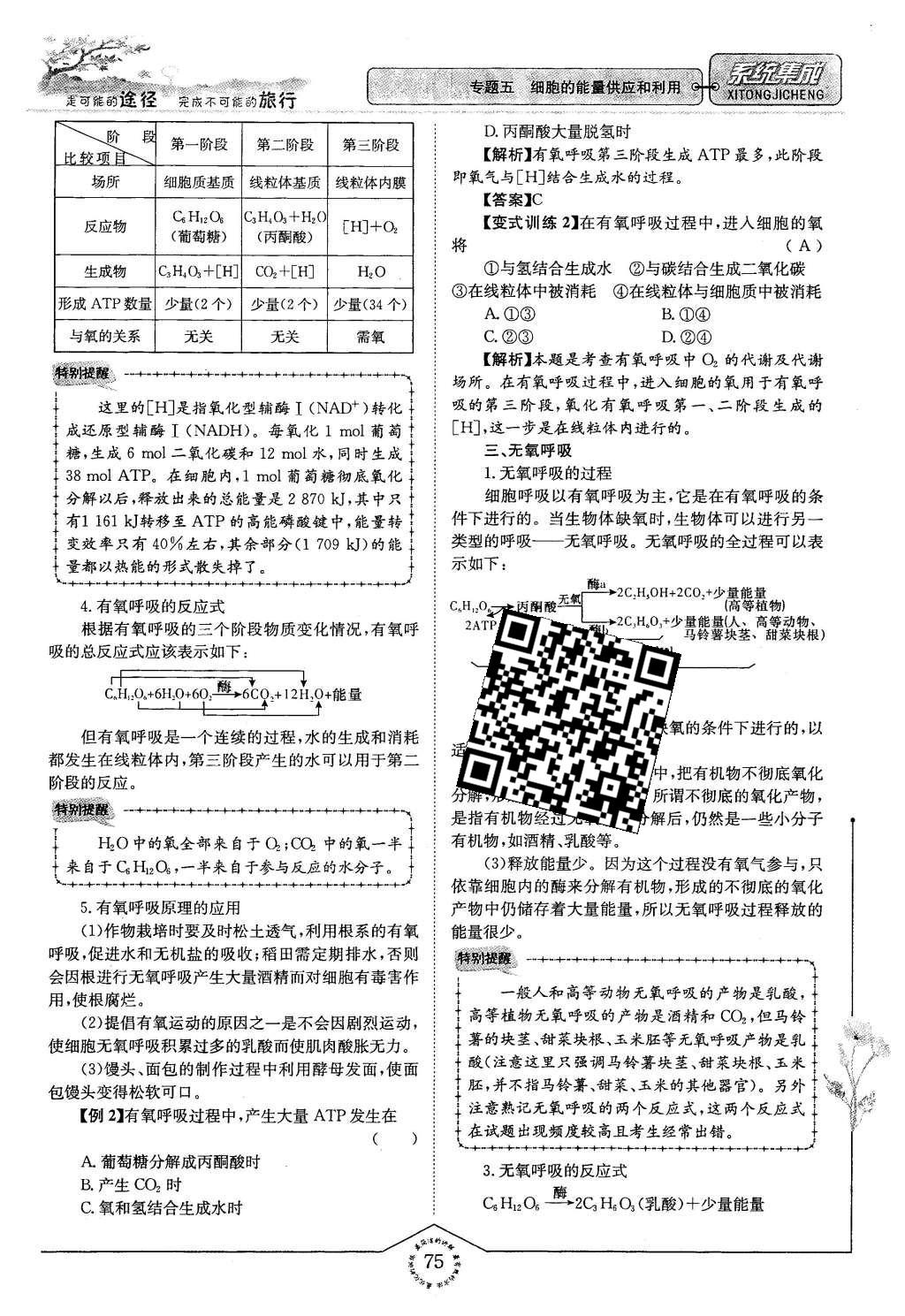 2015年系統(tǒng)集成高中新課程同步導(dǎo)學(xué)練測生物必修1分子與細(xì)胞 主題三 細(xì)胞的新陳代謝第68頁