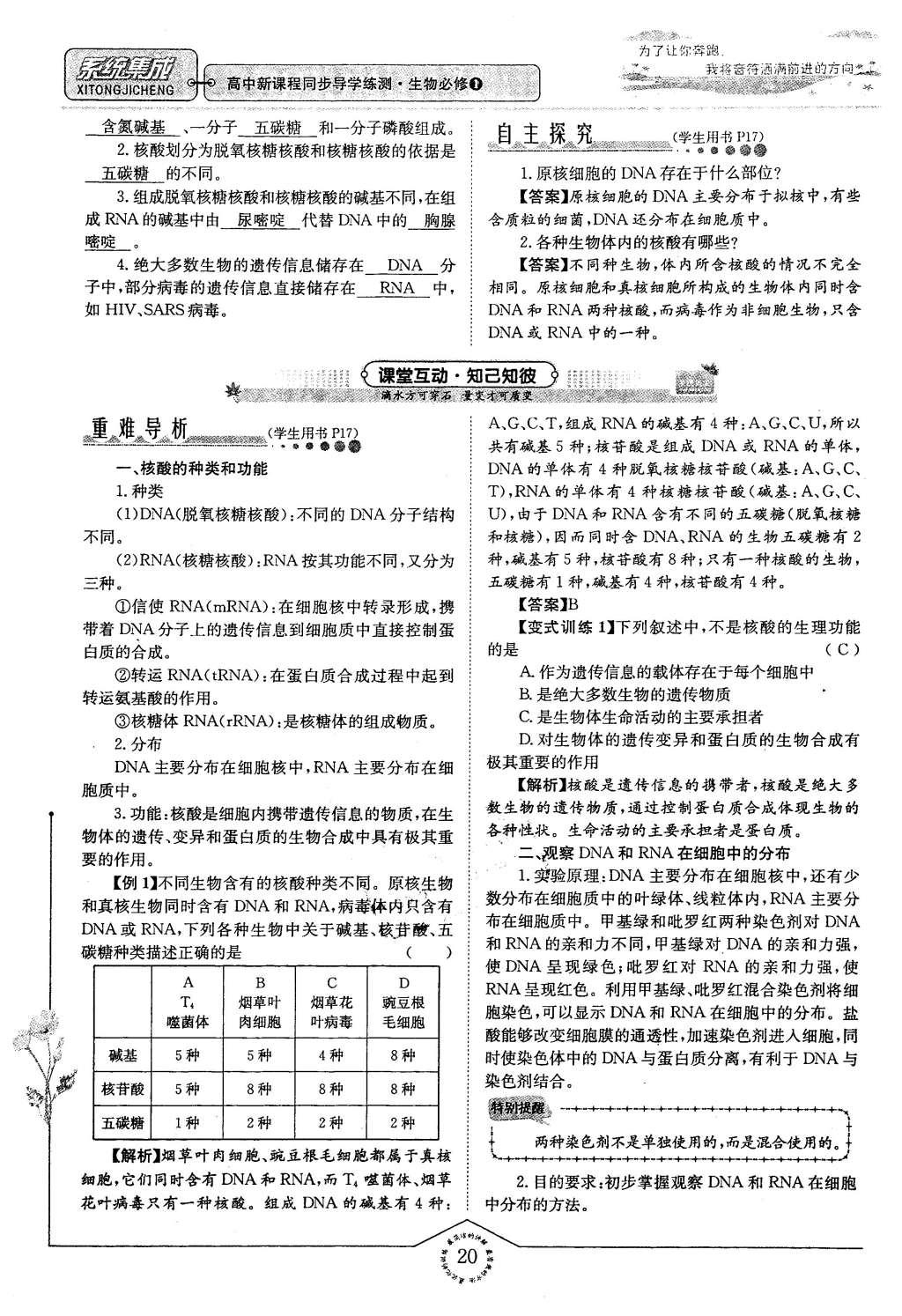 2015年系統(tǒng)集成高中新課程同步導學練測生物必修1分子與細胞 主題二 細胞的分子組成也結構第92頁