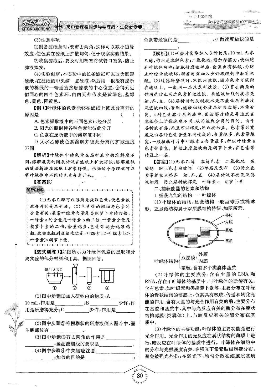 2015年系統(tǒng)集成高中新課程同步導(dǎo)學(xué)練測(cè)生物必修1分子與細(xì)胞 主題三 細(xì)胞的新陳代謝第73頁