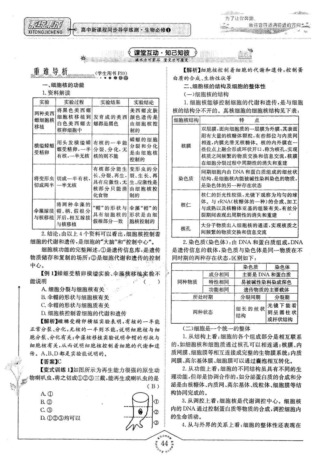 2015年系統(tǒng)集成高中新課程同步導學練測生物必修1分子與細胞 主題二 細胞的分子組成也結(jié)構(gòu)第116頁