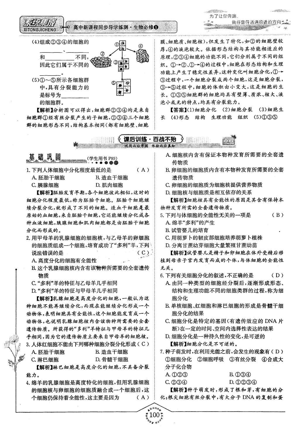 2015年系統(tǒng)集成高中新課程同步導(dǎo)學(xué)練測(cè)生物必修1分子與細(xì)胞 主題四 細(xì)胞的增殖、分化、衰老和凋亡第32頁(yè)