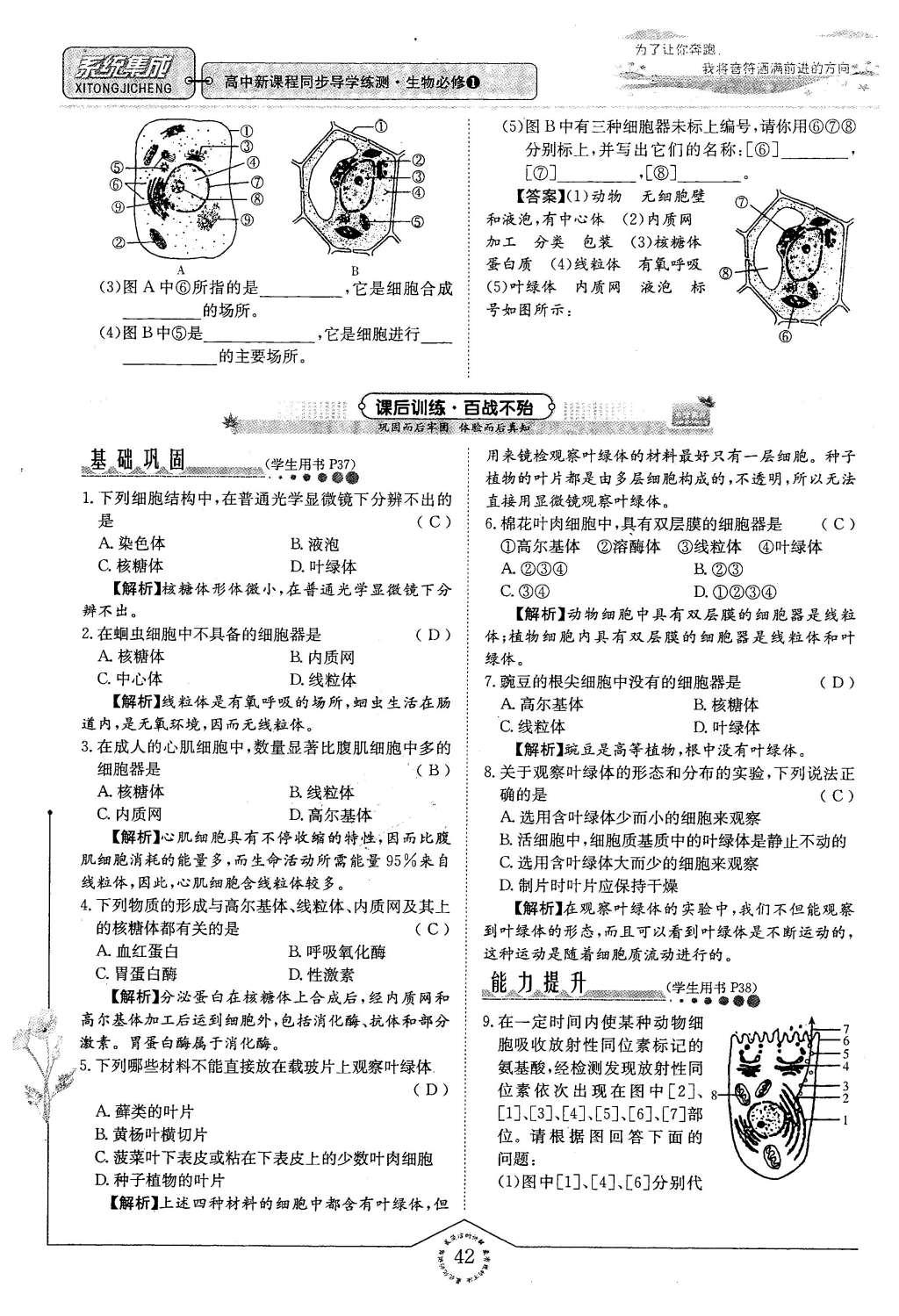 2015年系統(tǒng)集成高中新課程同步導(dǎo)學(xué)練測(cè)生物必修1分子與細(xì)胞 主題二 細(xì)胞的分子組成也結(jié)構(gòu)第114頁(yè)