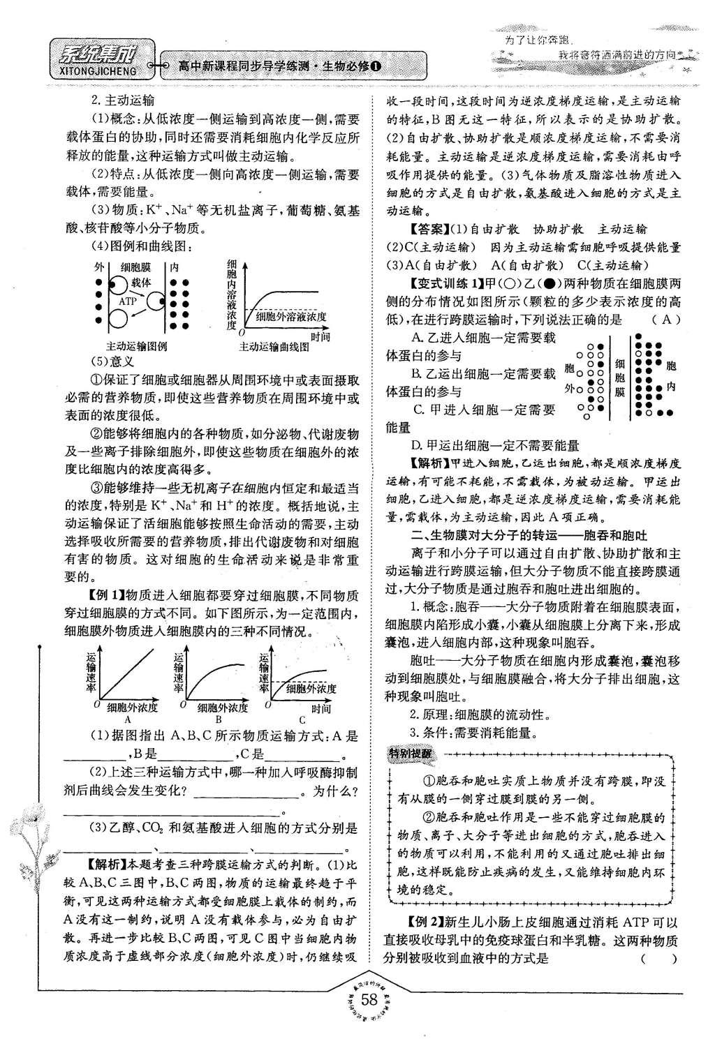 2015年系統(tǒng)集成高中新課程同步導(dǎo)學(xué)練測(cè)生物必修1分子與細(xì)胞 主題三 細(xì)胞的新陳代謝第51頁(yè)