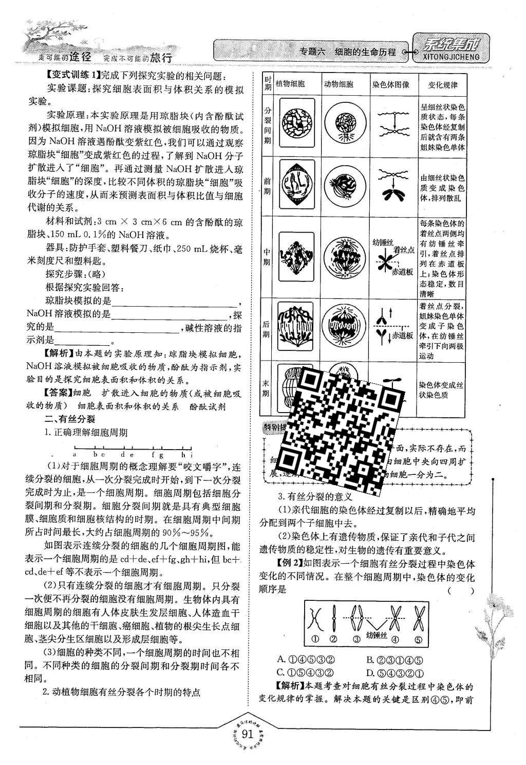 2015年系統(tǒng)集成高中新課程同步導學練測生物必修1分子與細胞 主題四 細胞的增殖、分化、衰老和凋亡第23頁