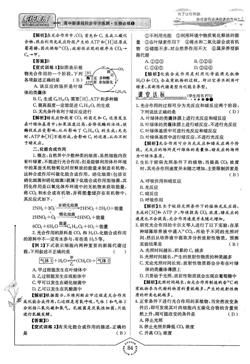 2015年系統(tǒng)集成高中新課程同步導(dǎo)學(xué)練測(cè)生物必修1分子與細(xì)胞 主題三 細(xì)胞的新陳代謝第77頁(yè)