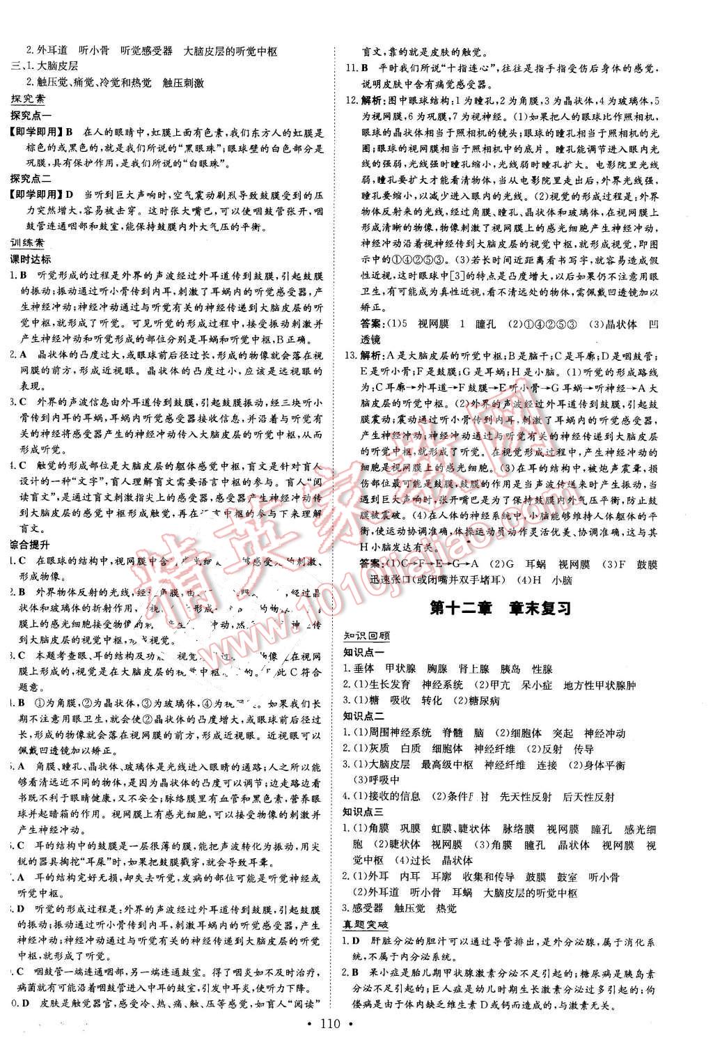 2016年初中同步学习导与练导学探究案七年级生物下册苏教版 第18页