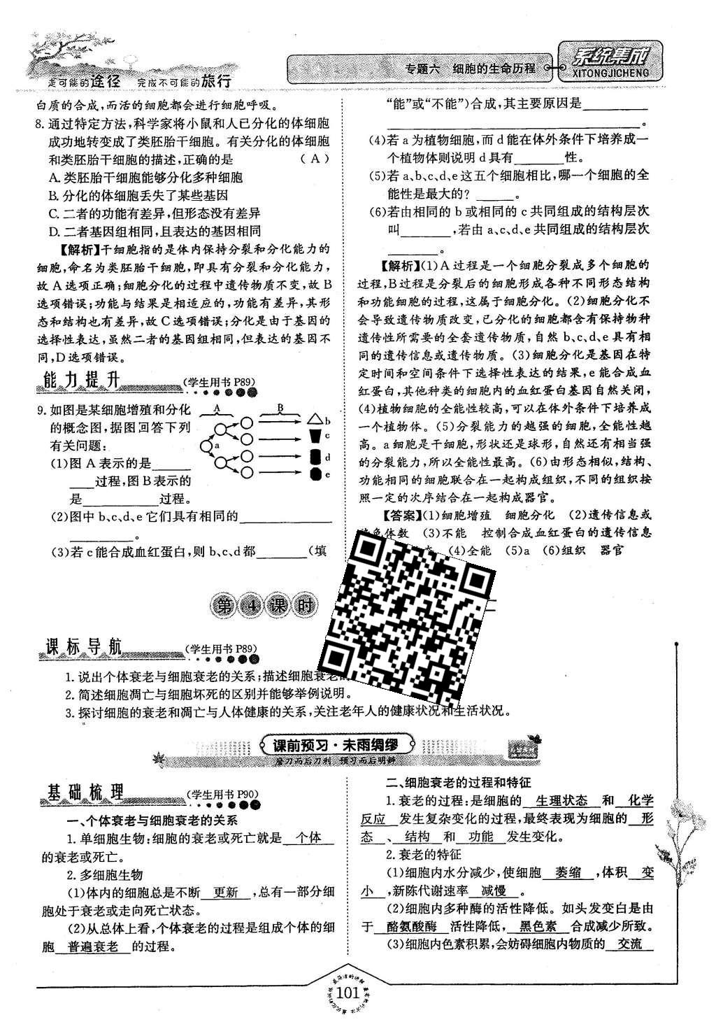 2015年系統(tǒng)集成高中新課程同步導(dǎo)學(xué)練測生物必修1分子與細(xì)胞 主題四 細(xì)胞的增殖、分化、衰老和凋亡第33頁