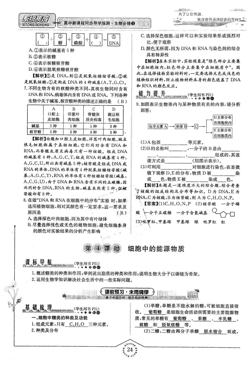 2015年系統(tǒng)集成高中新課程同步導(dǎo)學(xué)練測(cè)生物必修1分子與細(xì)胞 主題二 細(xì)胞的分子組成也結(jié)構(gòu)第96頁(yè)