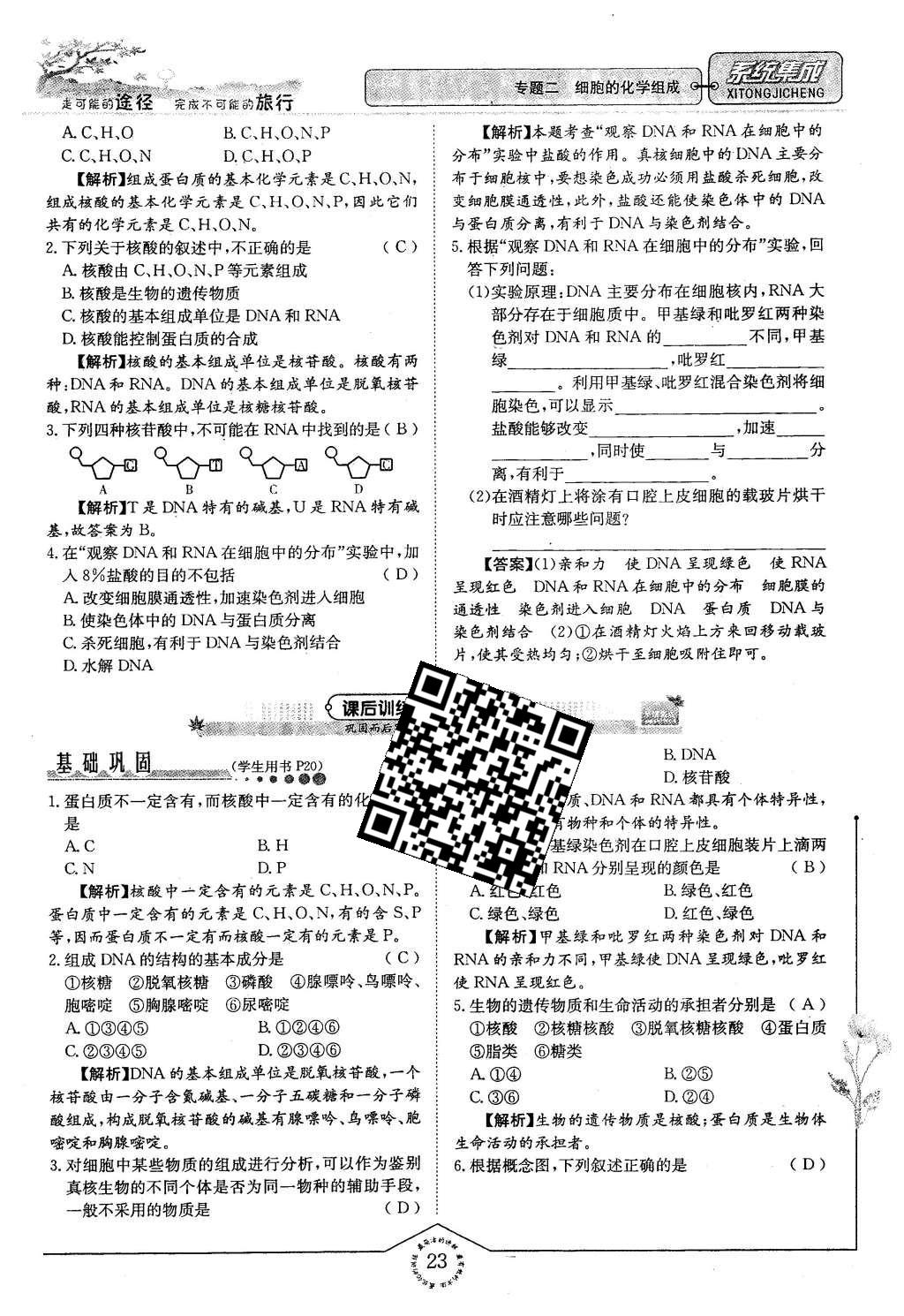 2015年系統(tǒng)集成高中新課程同步導(dǎo)學(xué)練測生物必修1分子與細胞 主題二 細胞的分子組成也結(jié)構(gòu)第95頁