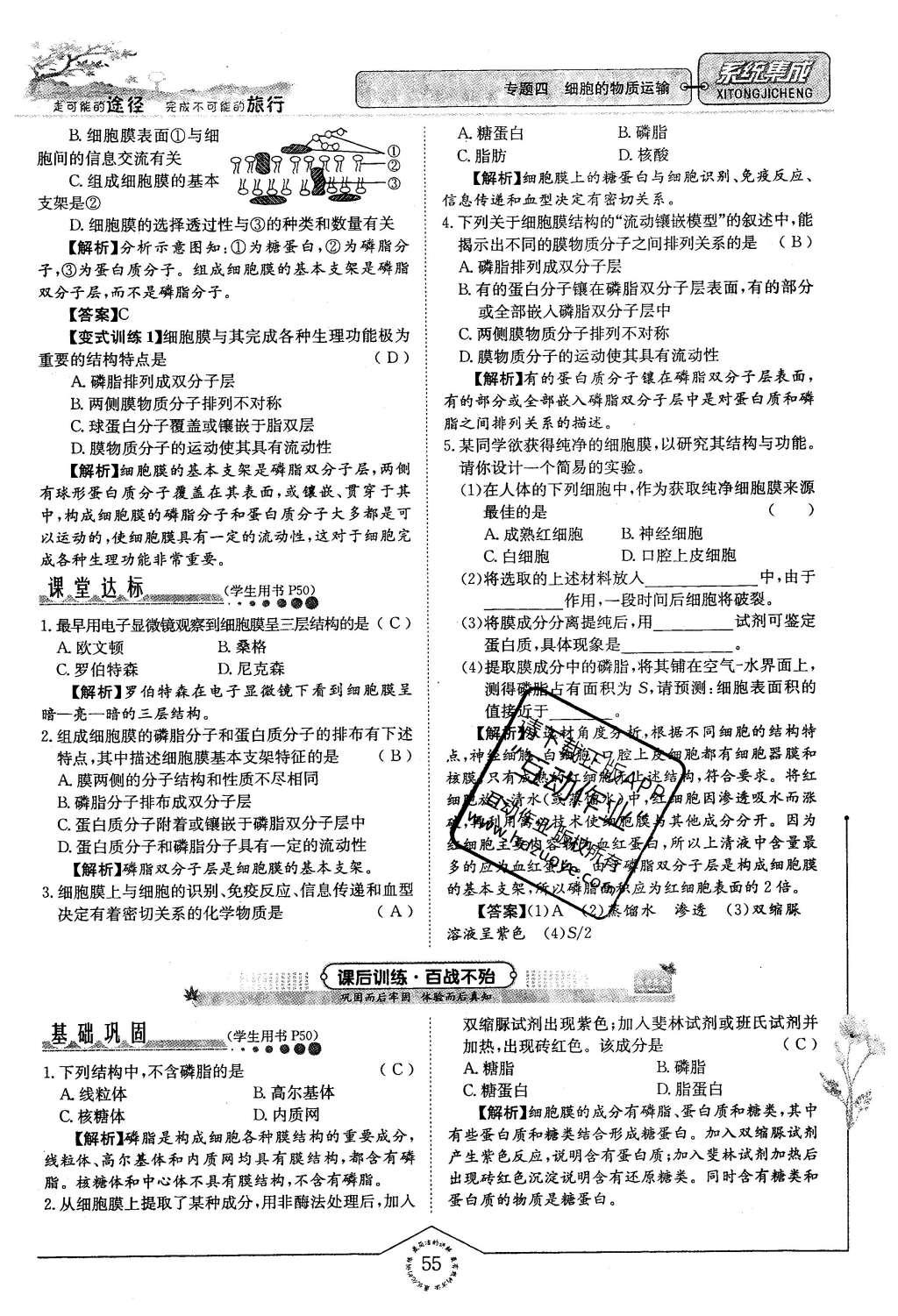 2015年系統(tǒng)集成高中新課程同步導學練測生物必修1分子與細胞 主題三 細胞的新陳代謝第48頁