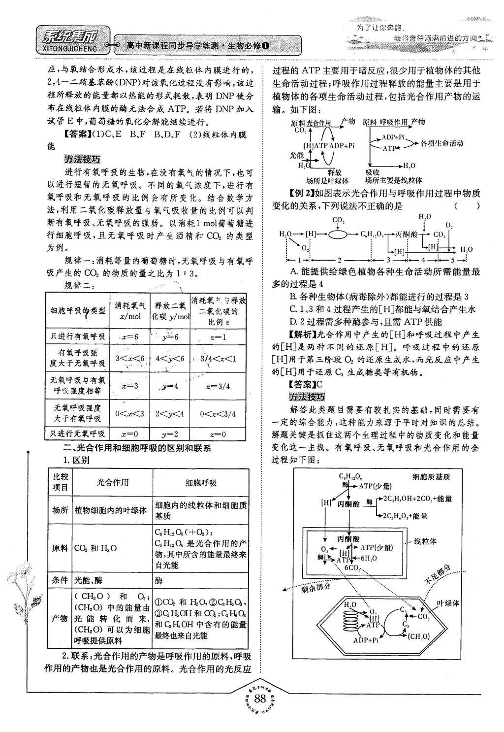 2015年系統(tǒng)集成高中新課程同步導(dǎo)學(xué)練測(cè)生物必修1分子與細(xì)胞 主題三 細(xì)胞的新陳代謝第81頁(yè)