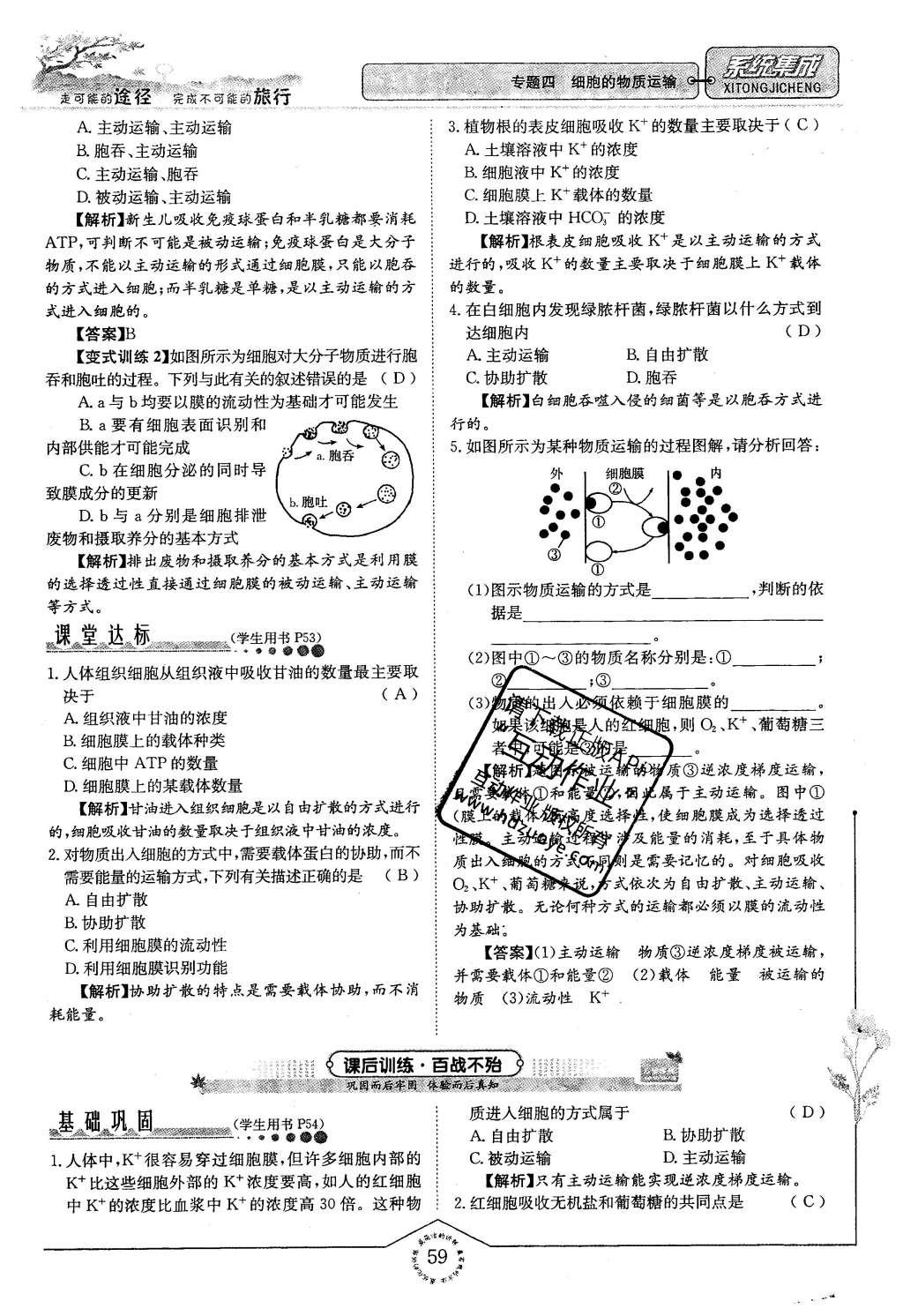 2015年系統(tǒng)集成高中新課程同步導學練測生物必修1分子與細胞 主題三 細胞的新陳代謝第52頁