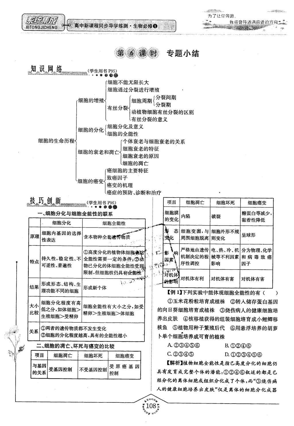 2015年系統(tǒng)集成高中新課程同步導(dǎo)學(xué)練測生物必修1分子與細胞 主題四 細胞的增殖、分化、衰老和凋亡第40頁