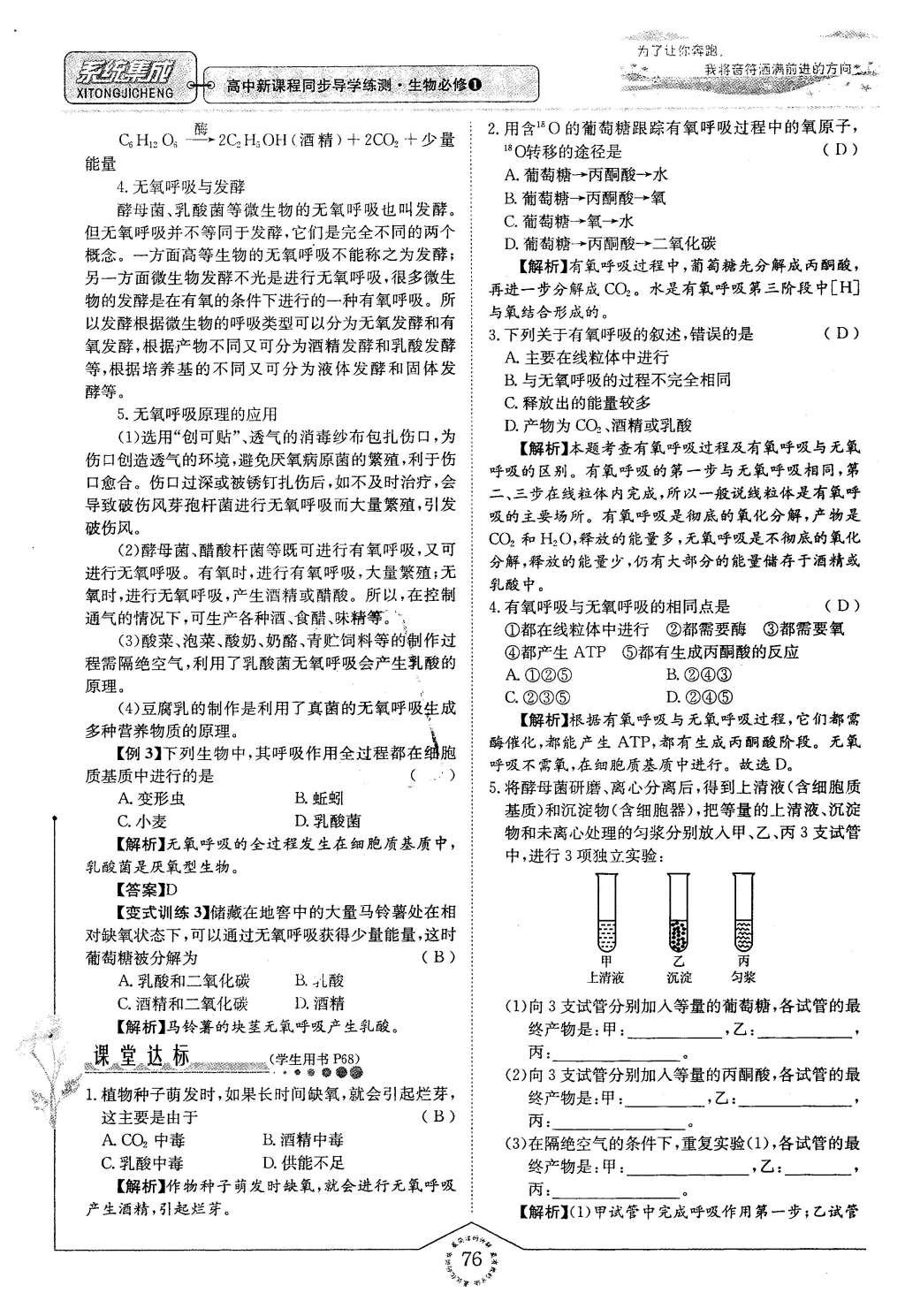 2015年系統(tǒng)集成高中新課程同步導學練測生物必修1分子與細胞 主題三 細胞的新陳代謝第69頁