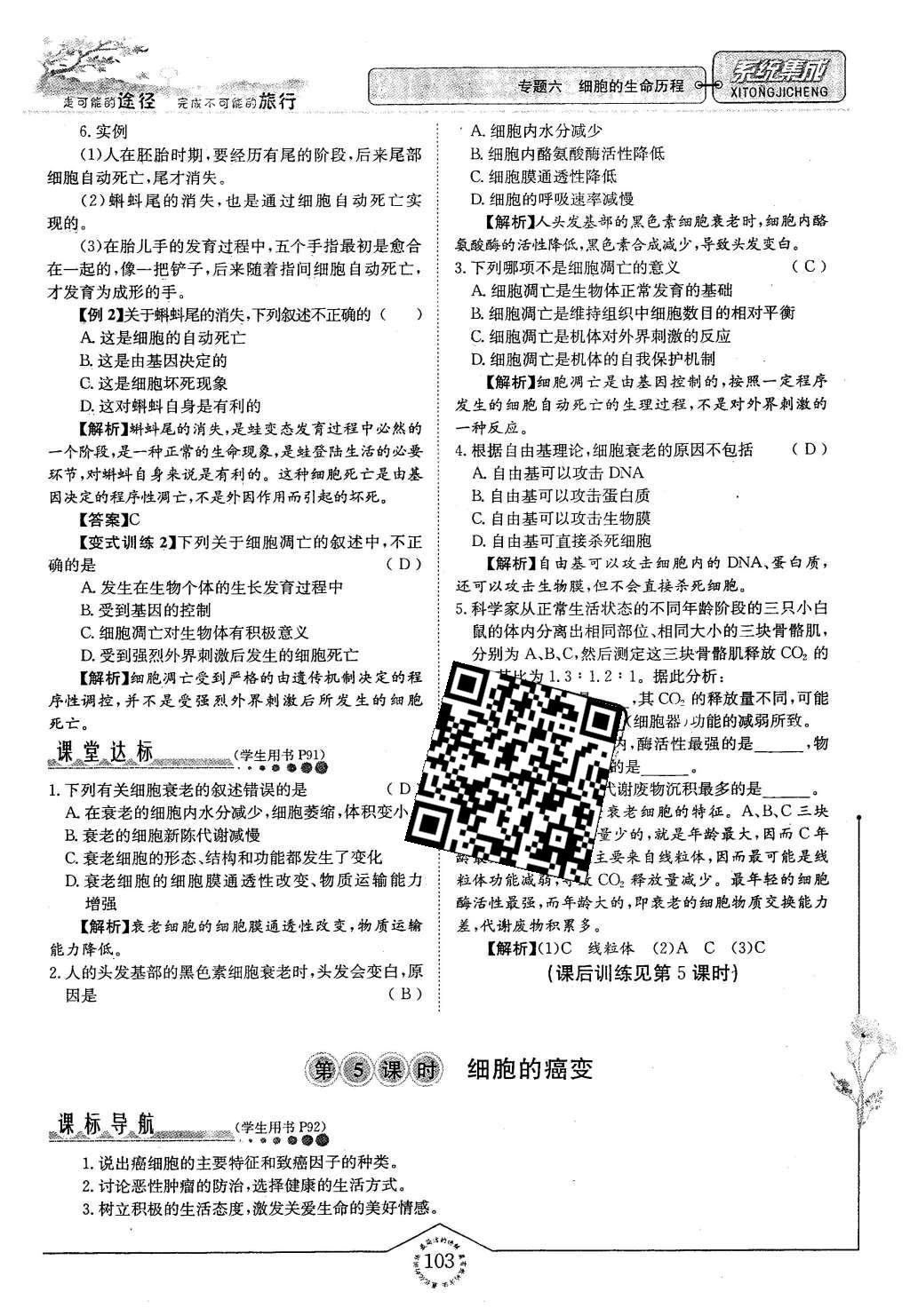 2015年系統(tǒng)集成高中新課程同步導(dǎo)學(xué)練測生物必修1分子與細(xì)胞 主題四 細(xì)胞的增殖、分化、衰老和凋亡第35頁