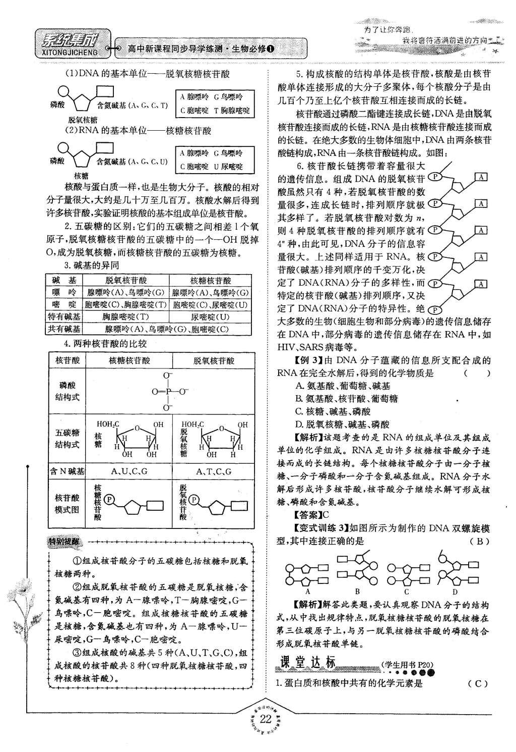 2015年系統(tǒng)集成高中新課程同步導(dǎo)學(xué)練測生物必修1分子與細(xì)胞 主題二 細(xì)胞的分子組成也結(jié)構(gòu)第94頁