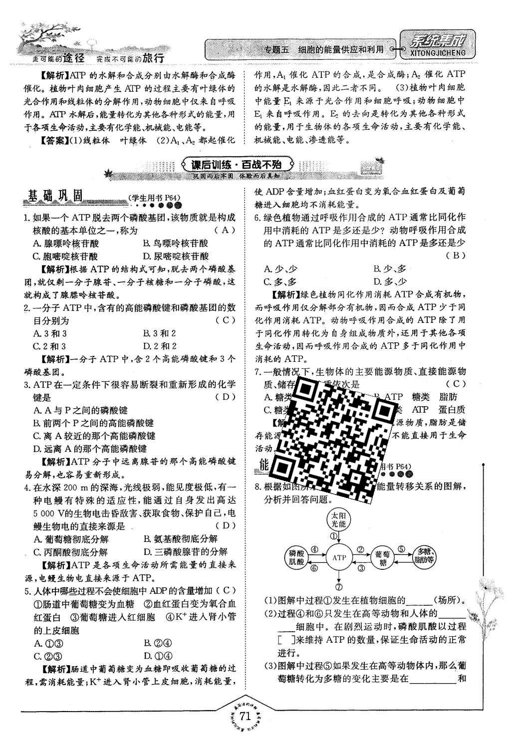 2015年系統(tǒng)集成高中新課程同步導學練測生物必修1分子與細胞 主題三 細胞的新陳代謝第64頁