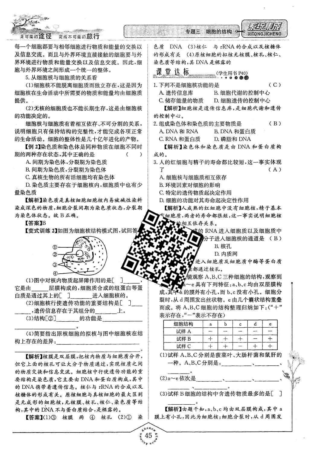 2015年系統(tǒng)集成高中新課程同步導(dǎo)學(xué)練測生物必修1分子與細(xì)胞 主題二 細(xì)胞的分子組成也結(jié)構(gòu)第117頁