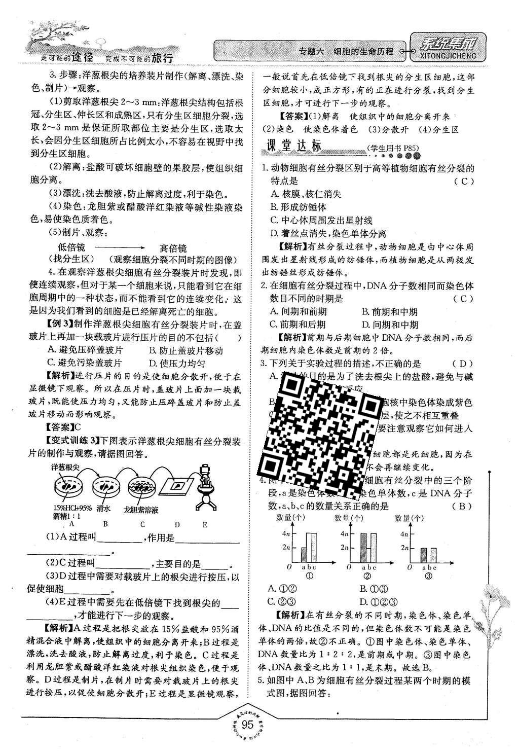 2015年系統(tǒng)集成高中新課程同步導(dǎo)學(xué)練測生物必修1分子與細(xì)胞 主題四 細(xì)胞的增殖、分化、衰老和凋亡第27頁