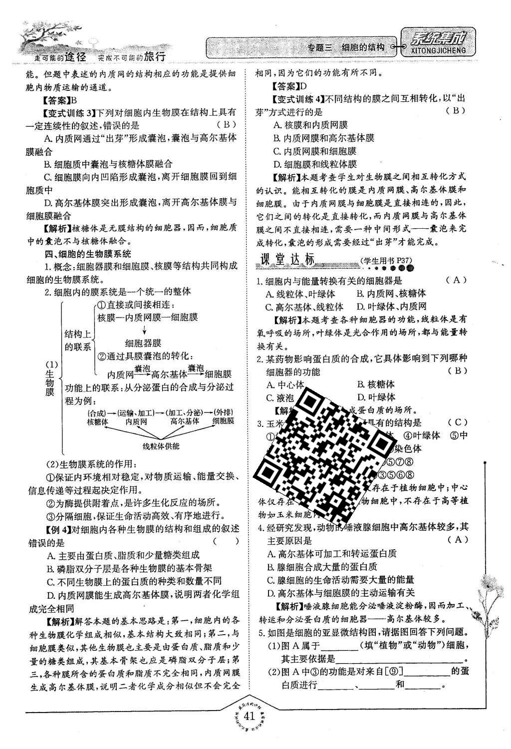 2015年系統(tǒng)集成高中新課程同步導(dǎo)學(xué)練測生物必修1分子與細(xì)胞 主題二 細(xì)胞的分子組成也結(jié)構(gòu)第113頁