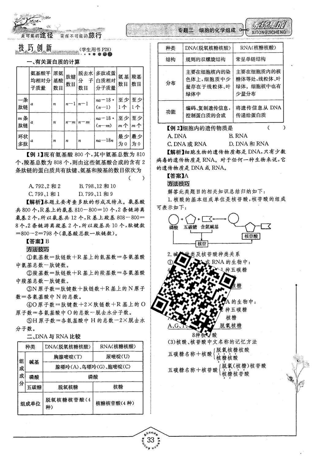 2015年系統(tǒng)集成高中新課程同步導(dǎo)學(xué)練測(cè)生物必修1分子與細(xì)胞 主題二 細(xì)胞的分子組成也結(jié)構(gòu)第105頁(yè)