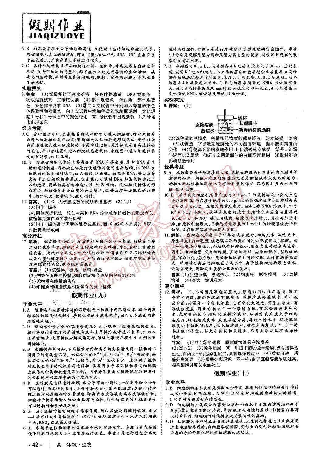 2016年金版新學(xué)案冬之卷假期作業(yè)高一生物 第5頁