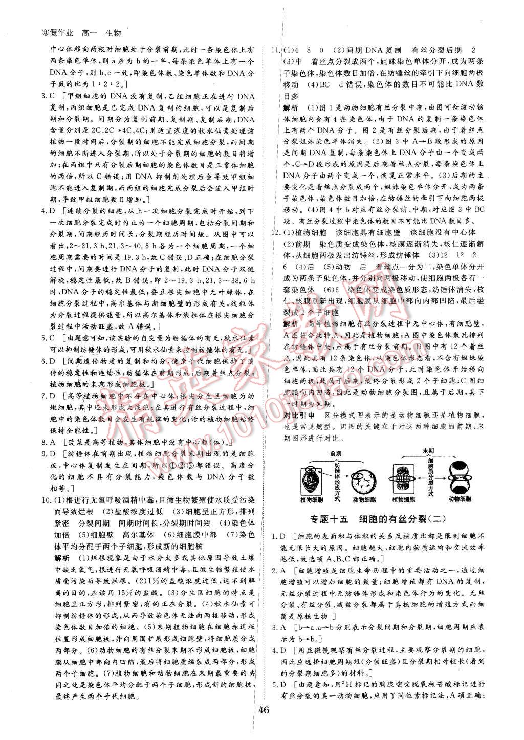 2016年寒假专题突破练高一生物 第10页