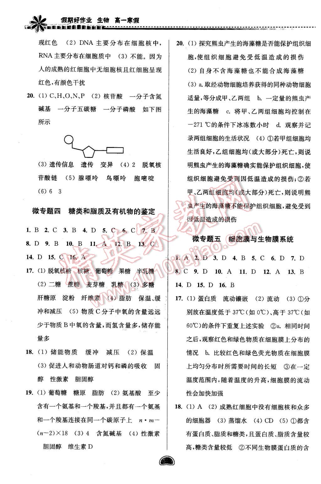 2016年假期好作業(yè)暨期末復(fù)習(xí)高一生物寒假 第2頁(yè)