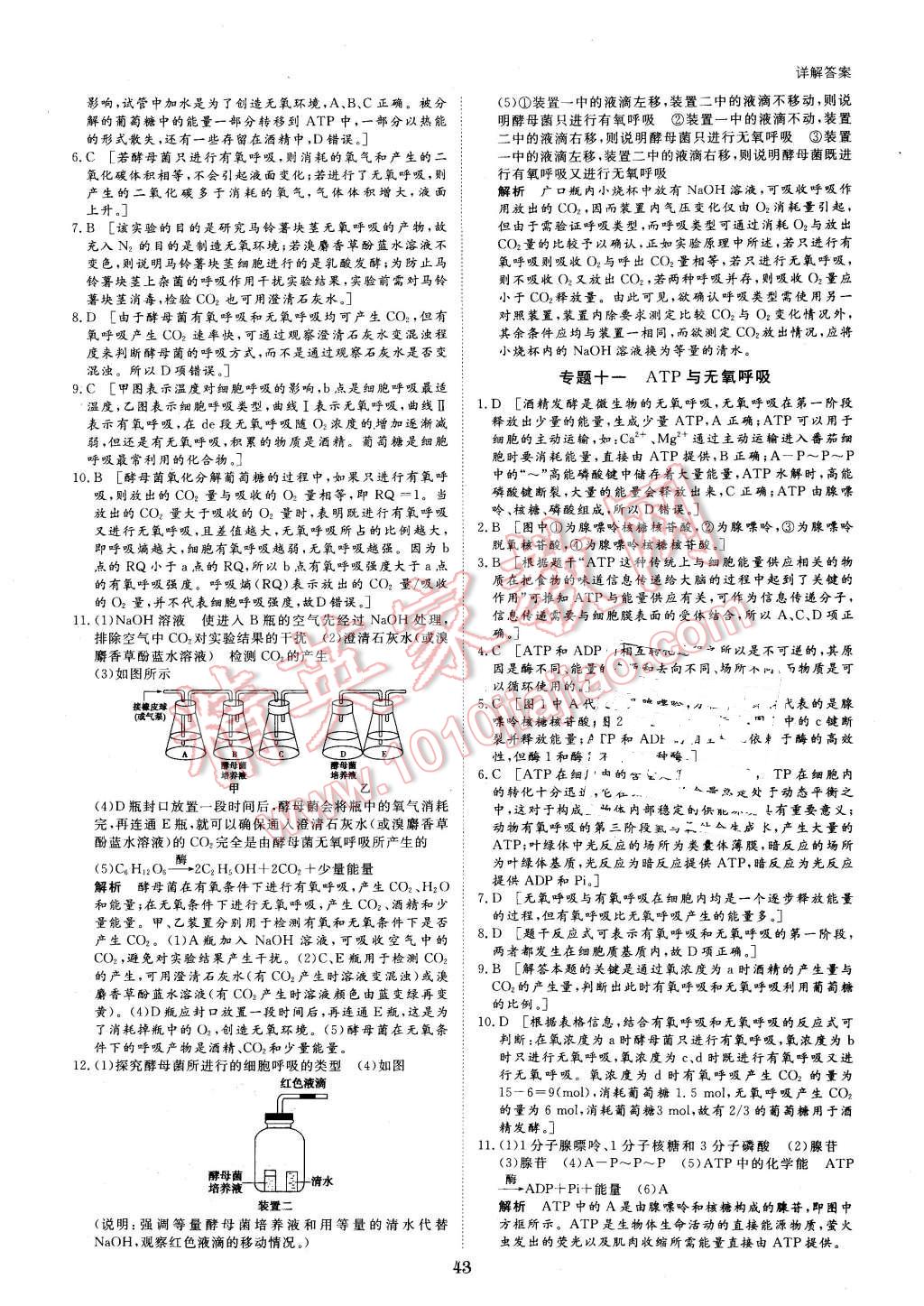 2016年寒假專題突破練高一生物 第7頁(yè)