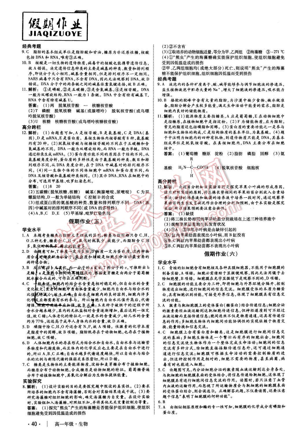 2016年金版新学案冬之卷假期作业高一生物 第3页