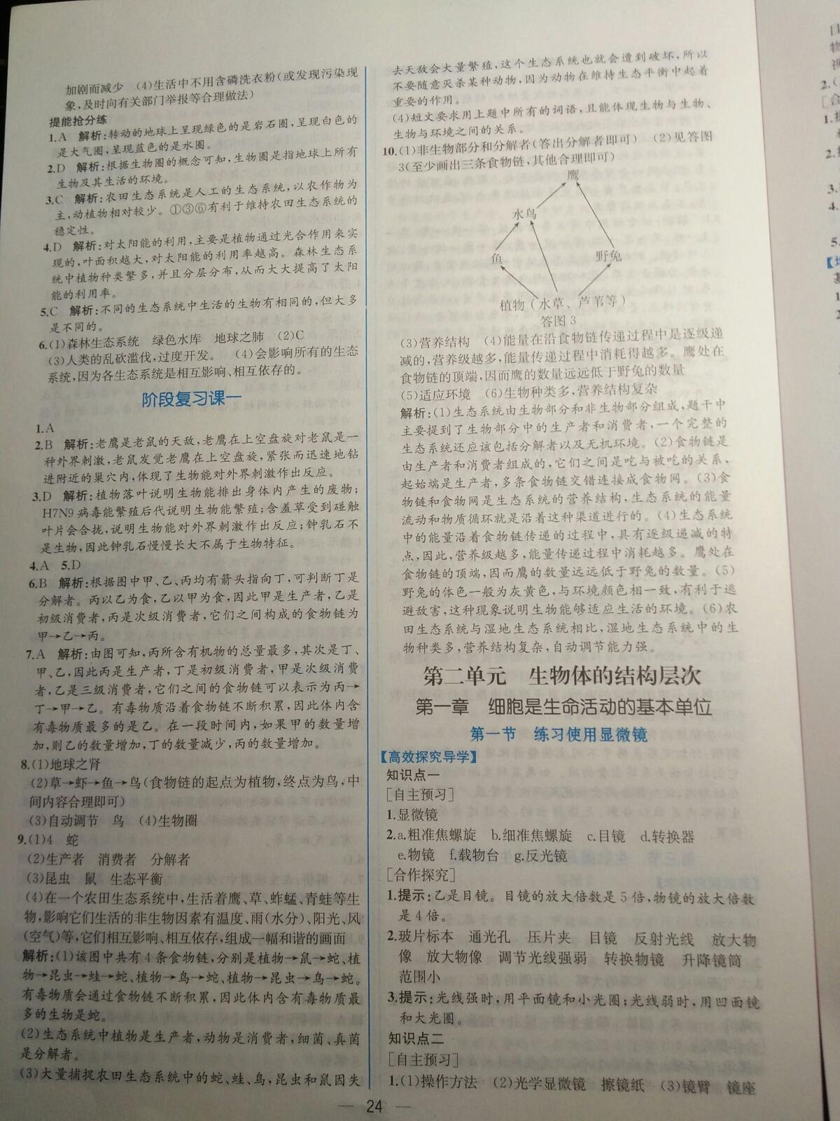 2015年同步导学案课时练七年级生物学上册人教版 第36页