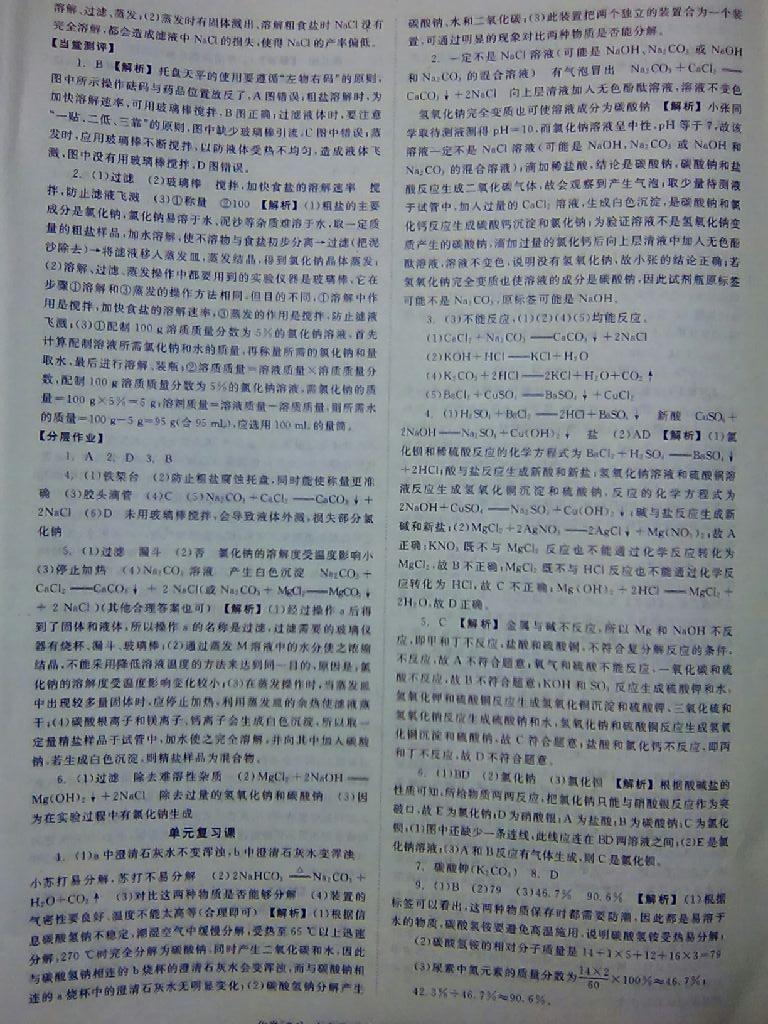2015年全效學(xué)習(xí)九年級化學(xué)下冊人教版 第40頁