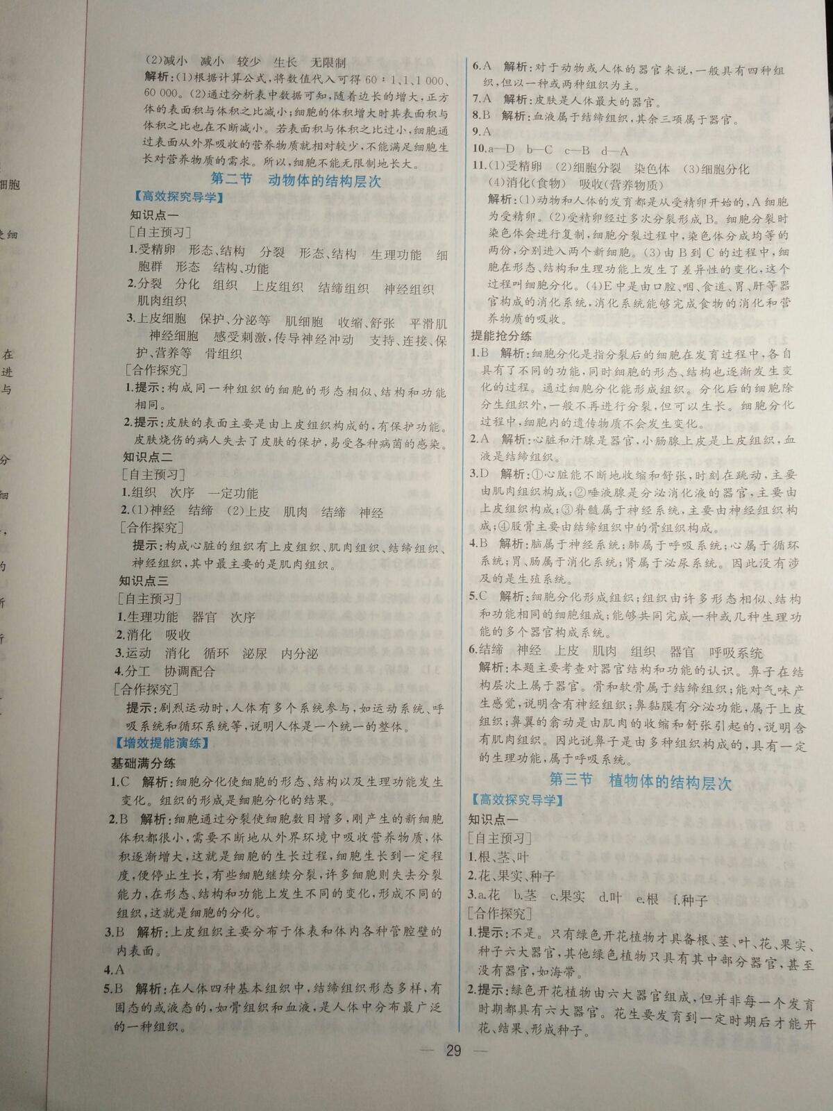 2015年同步導(dǎo)學(xué)案課時(shí)練七年級(jí)生物學(xué)上冊(cè)人教版 第41頁