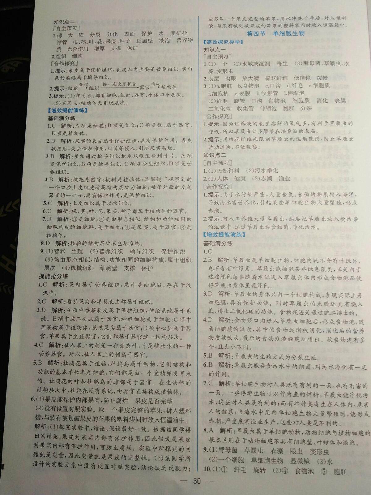 2015年同步导学案课时练七年级生物学上册人教版 第42页