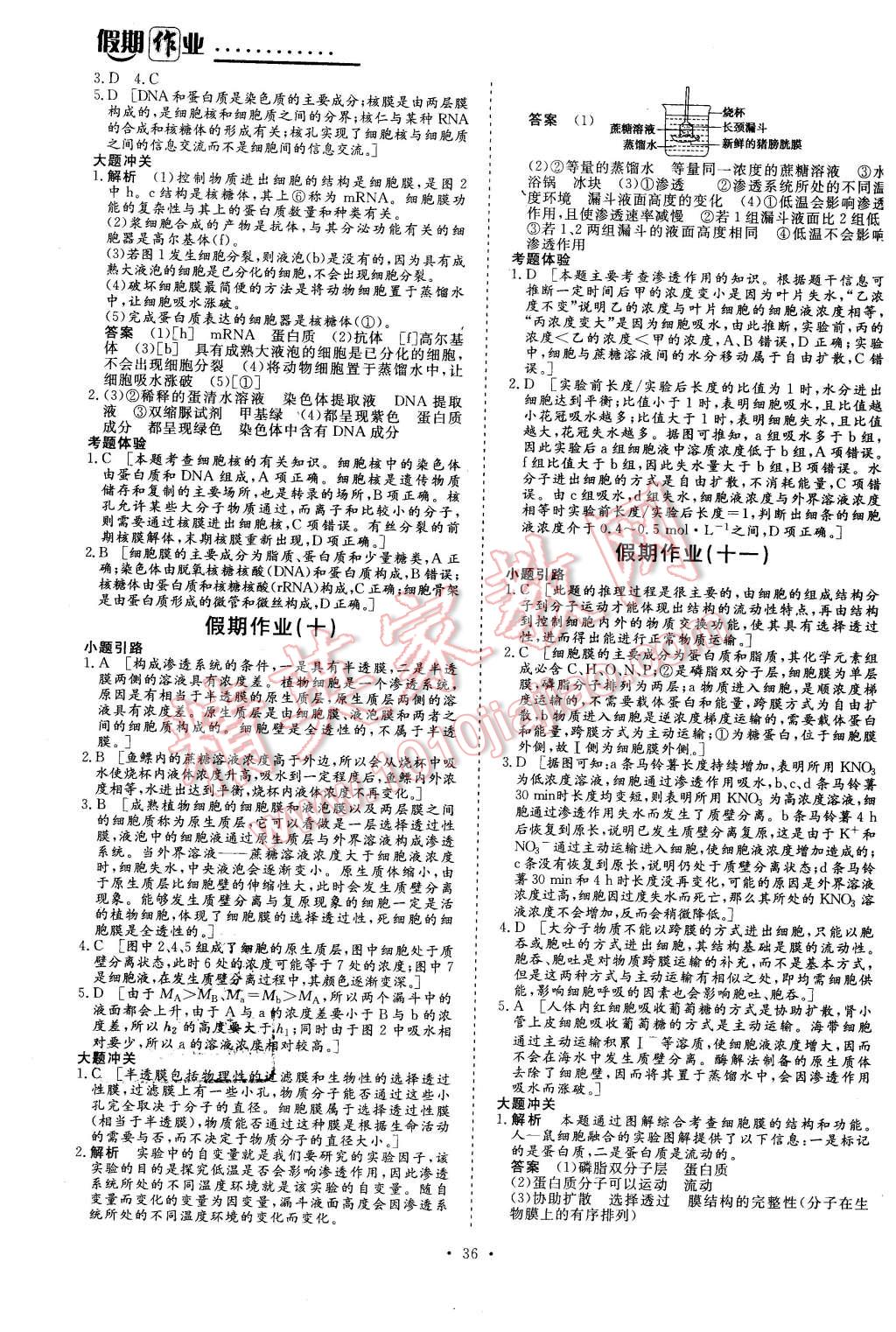 2016年创新大课堂系列丛书假期作业寒假作业高一年级生物 第4页