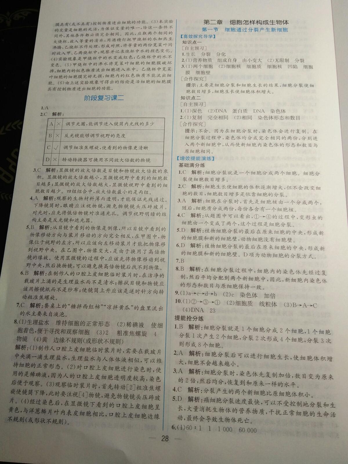 2015年同步導(dǎo)學(xué)案課時(shí)練七年級生物學(xué)上冊人教版 第40頁