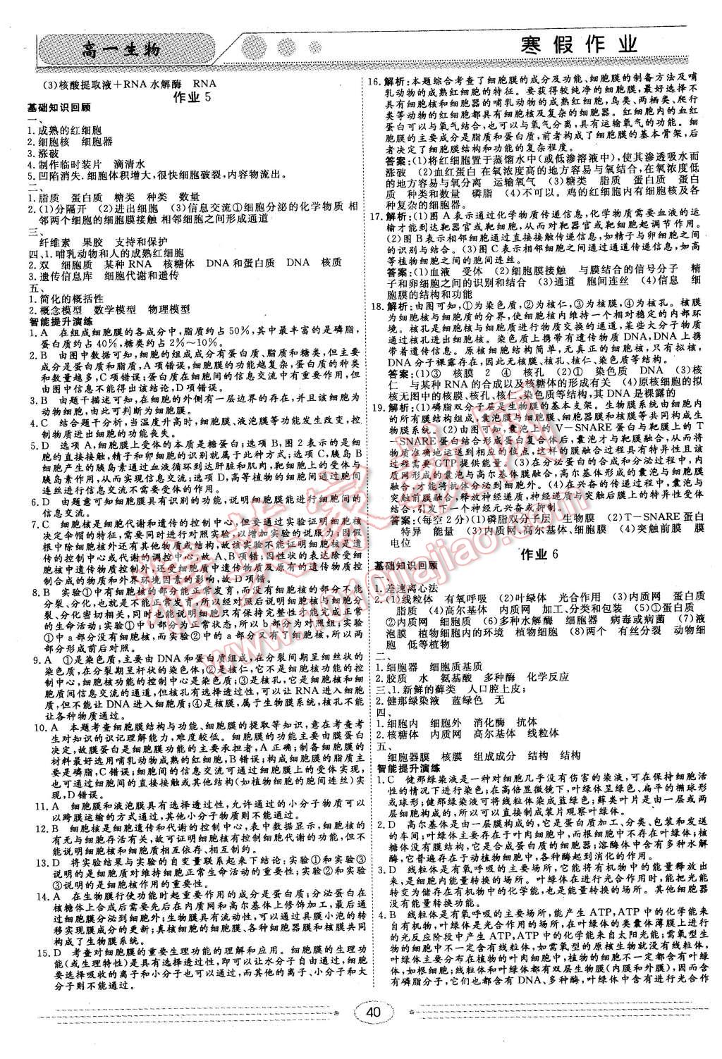 2016年學(xué)段銜接提升方案贏在高考寒假作業(yè)高一生物 第4頁(yè)