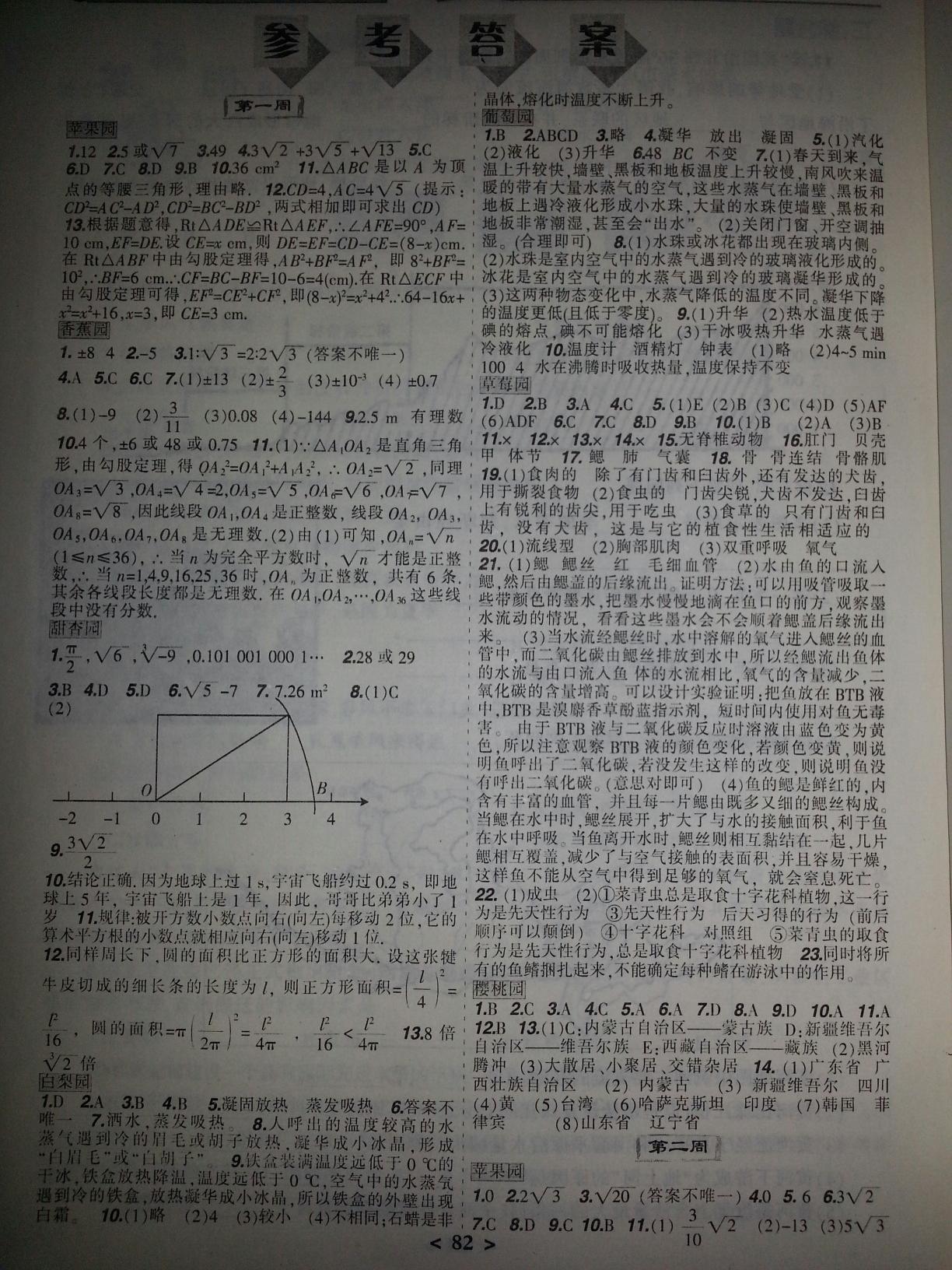 2015年寒假樂園八年級合訂本理科版JZ遼寧師范大學(xué)出版社 第6頁